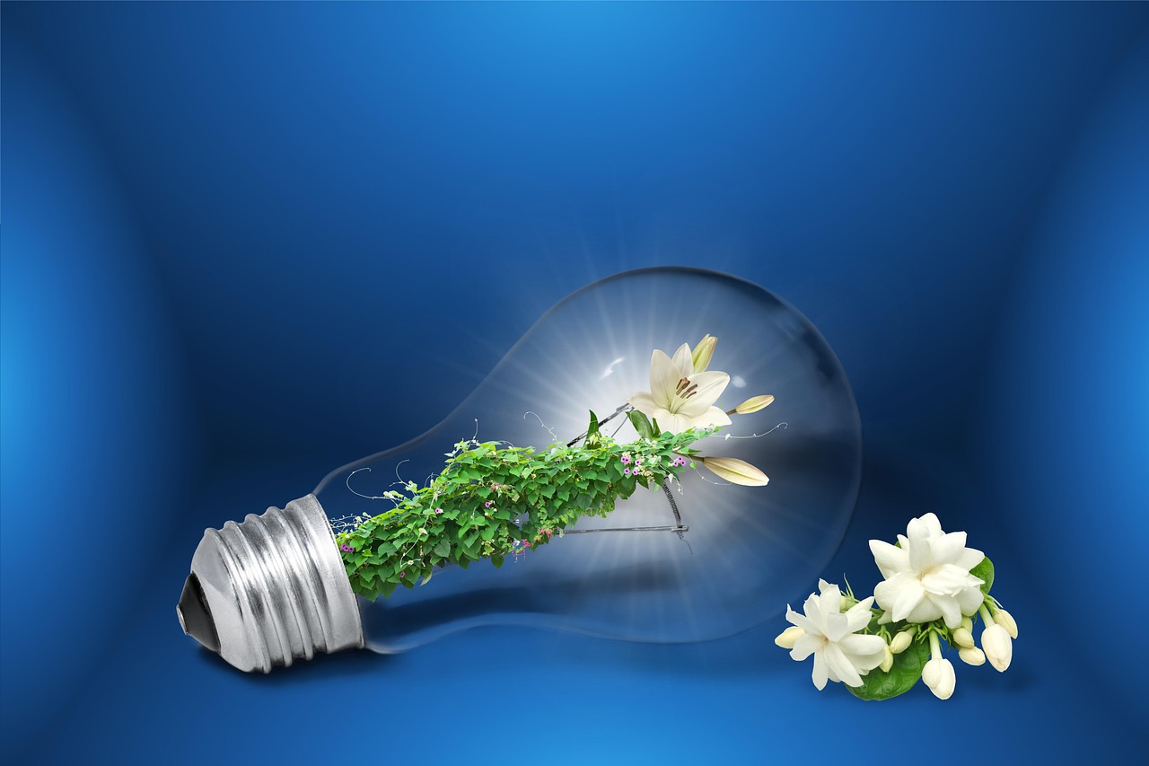 save energy, energy saving, sustainability, electricity, nature, the light bulb, environment, environmentally friendly, sustainable energy, green electricity, renewable energy, flower wallpaper, lightbulb, ivy, tendrils, flower, rethinking, beautiful flowers, renewable, flower background, sustainable